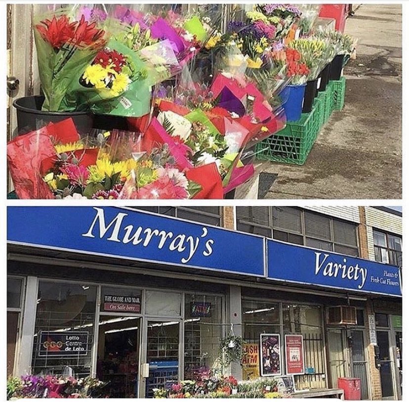 AlderwoodTO's tweet photo. Shopping for flowers? Please visit Murray's first! Murray’s always have THE BEST selection and are owned by a local family, not a large corporation. 
Let's keep our amazing businesses thriving!

724 Browns Line, by Coules Court, South of Evans Ave.

#AlderwoodTO
#brownsline https://t.co/spFfOvv4aK