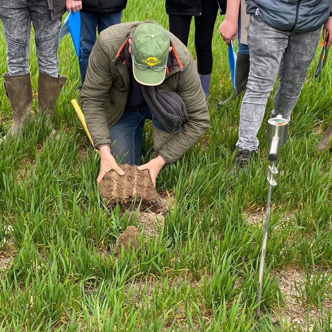 MFRLimoise's tweet photo. Semaine de diversification pour les 2ndes Agri !
Au programme :
- Initiation à la soudure
- Conduite et entretien du matériel agricole
- Visite d'une exploitation céréalière: matériels agricoles, vie du sol, stockage a la ferme, filière
- Démo d'une bineuse à caméra pour céréales https://t.co/dJFbSBBAsS