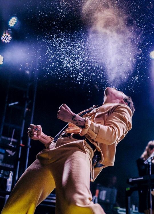 harry styles + the whale