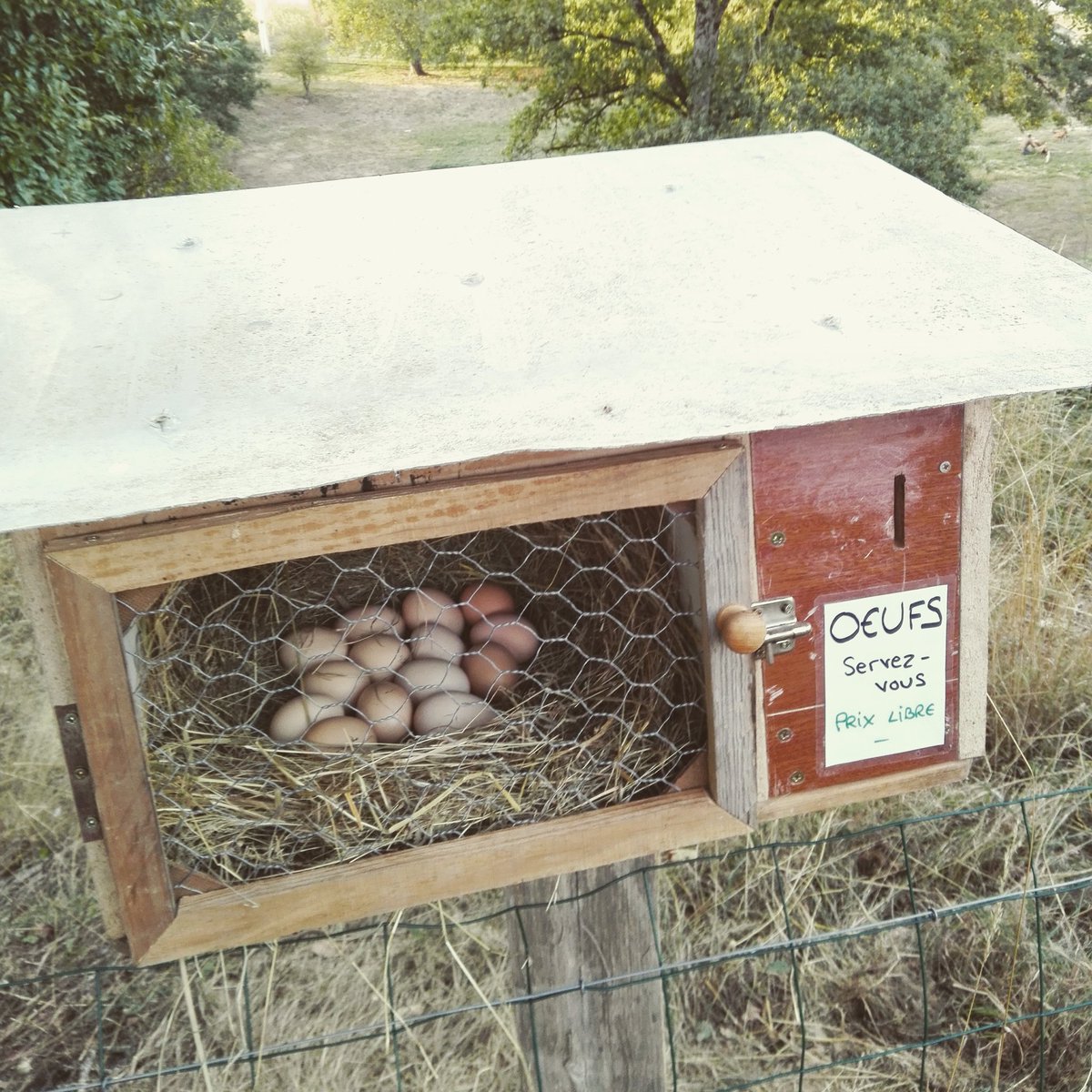 garsdherault's tweet photo. Il faut avouer que lors de l'installation de cette boîte j'étais (plutôt) sceptique. https://t.co/vLJ5qtXl5A