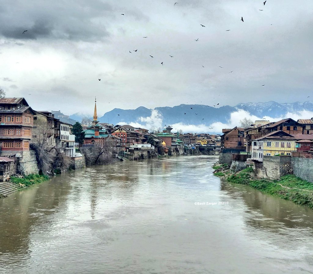 basiitzargar's tweet photo. Downtown, Srinagar https://t.co/WQ5jO5kRkz
