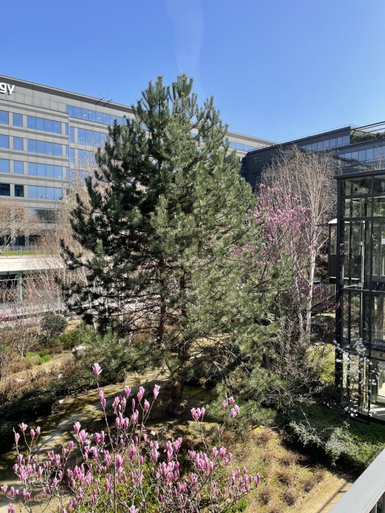 andrewlegallois's tweet image. All quiet at #IBMClientCenter Paris under #COVIDー19 but hopefully things will get back to normal soon. 
@IBMCCtr @CelChidiac @AngelaMontagner @IBM_France