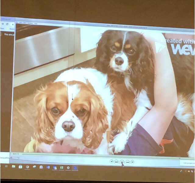 Council Rock NMS tweet media