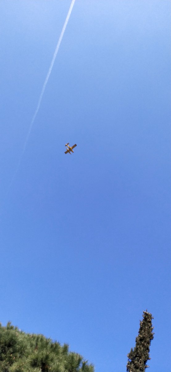 SansJosep's tweet photo. @bomberscat Mitjans aeris activats @bomberscat ? Dues avionetes sobrevolant Barcelona (Collserola) fa 5 minuts https://t.co/7rhsaUyT0p