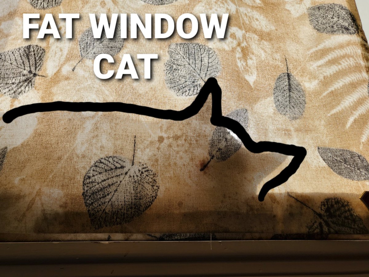 katenauthor's tweet photo. #cats #ClarkCat https://t.co/3rhadHn6MV