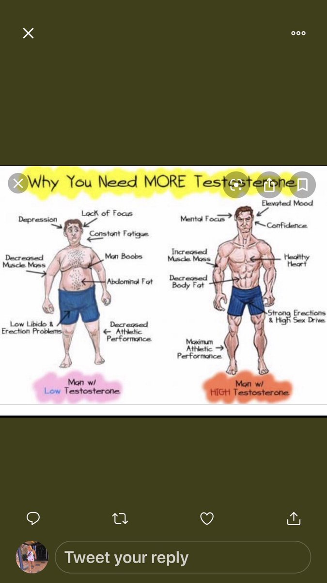 At this point, it is important to point out that T is not exclusively a male hormone. It is produced by both males and females in the testicles & ovaries (& also in the adrenal glands), however males need to produce it in higher quantities as they have XY androgen receptors. 20-
