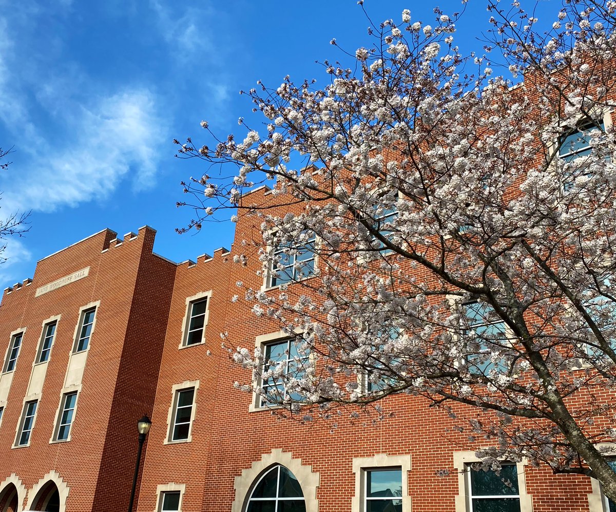 Chris Freer tweet media