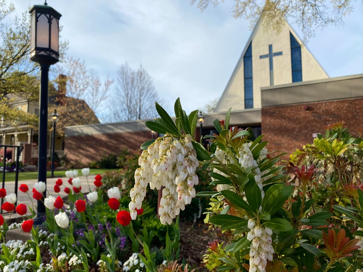 Chris Freer tweet media