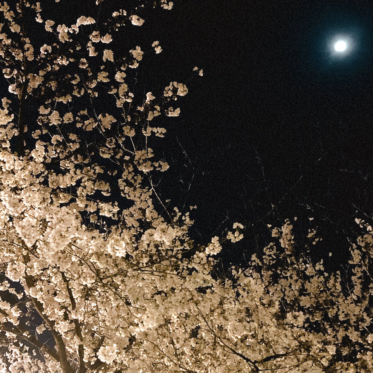 Hirano Tire Hirano Tire Twitter