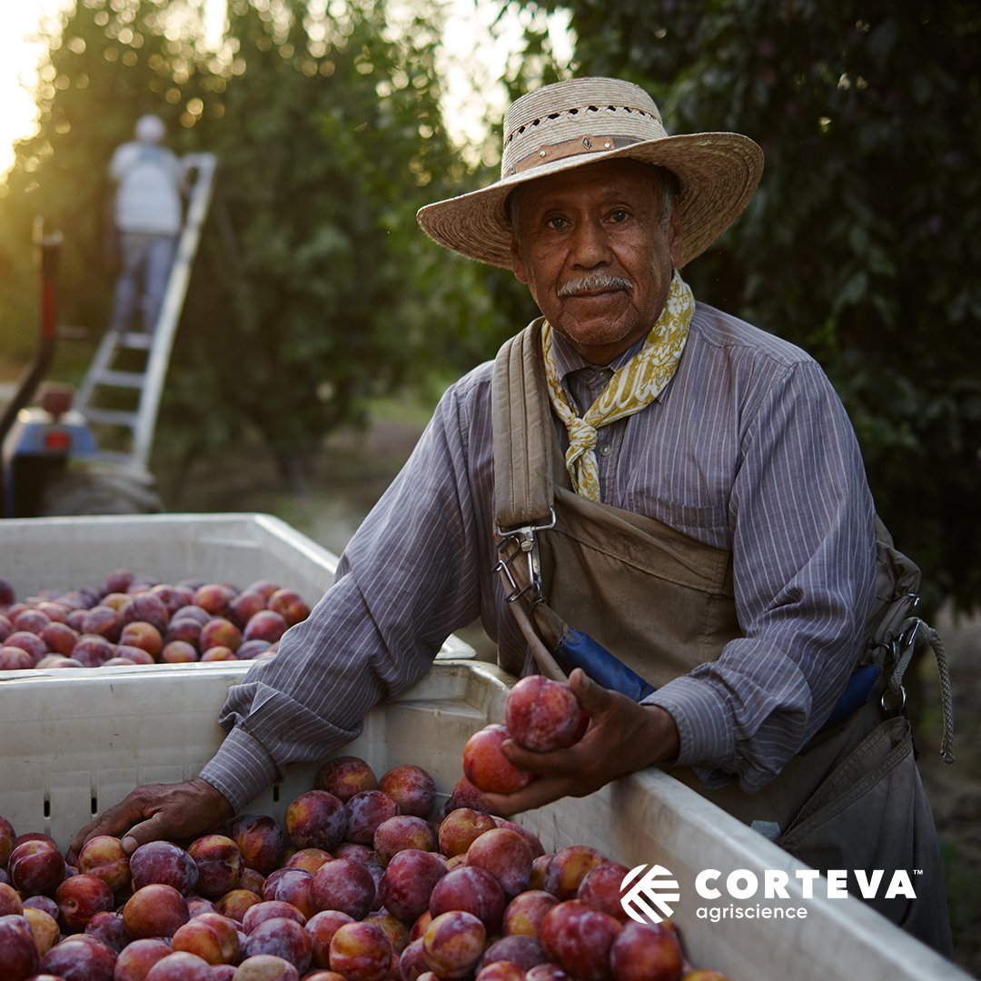 CortevaUS's tweet photo. The events of past year have demonstrated the importance of a resilient food system. We salute the American farmers, ranchers, scientists and researchers who ensure our food stays safe, affordable and abundant. Happy National #AgDay21 from Corteva.