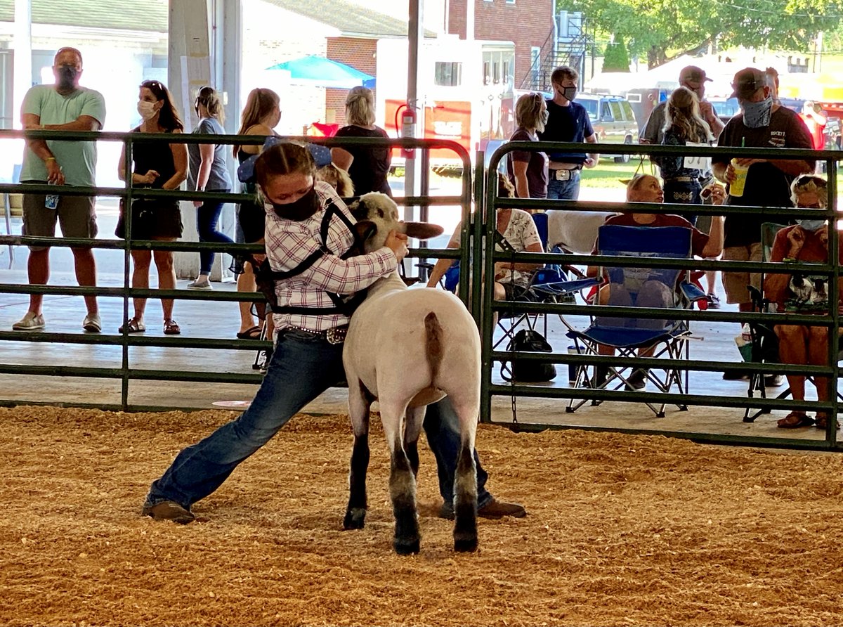 Ohio 4-H tweet media
