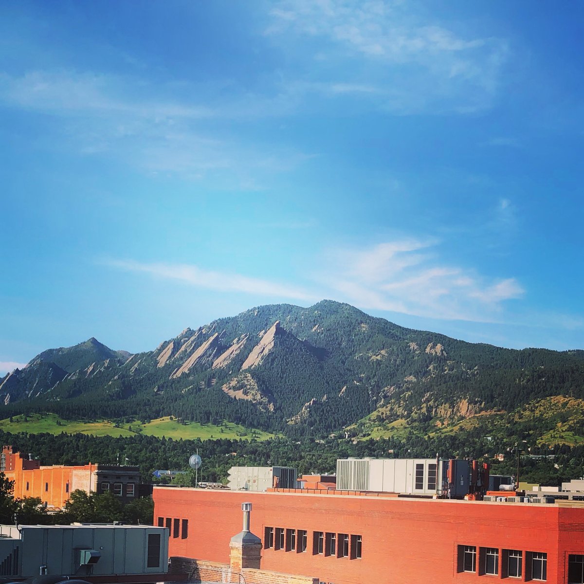 editcatsf's tweet image. Sending strength, love, and light to ⁦@bouldercolorado⁩