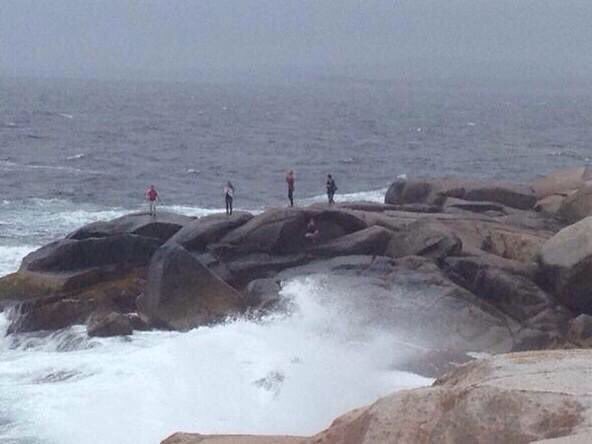 Q104Halifax's tweet photo. Anna: From @evilpez4 - Forget robin sighting, this is the first true sign of Spring in #NovaScotia . #WaveBait https://t.co/KUXKVM0A5w