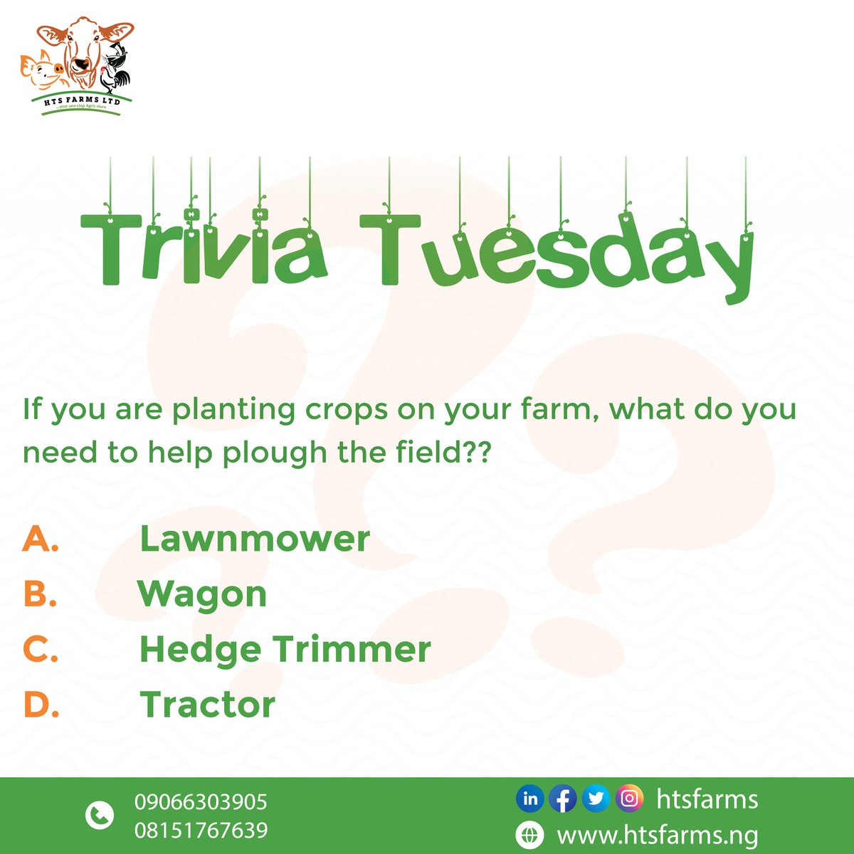 htsfarms's tweet photo. Are you a good Farmer?🤓

Let us know in the comment section..

#htsfarms #cropplanting #Nigerianfarms #Nigerianfarmer #AbujaTwitterCommunity https://t.co/8pNB8Szgc7