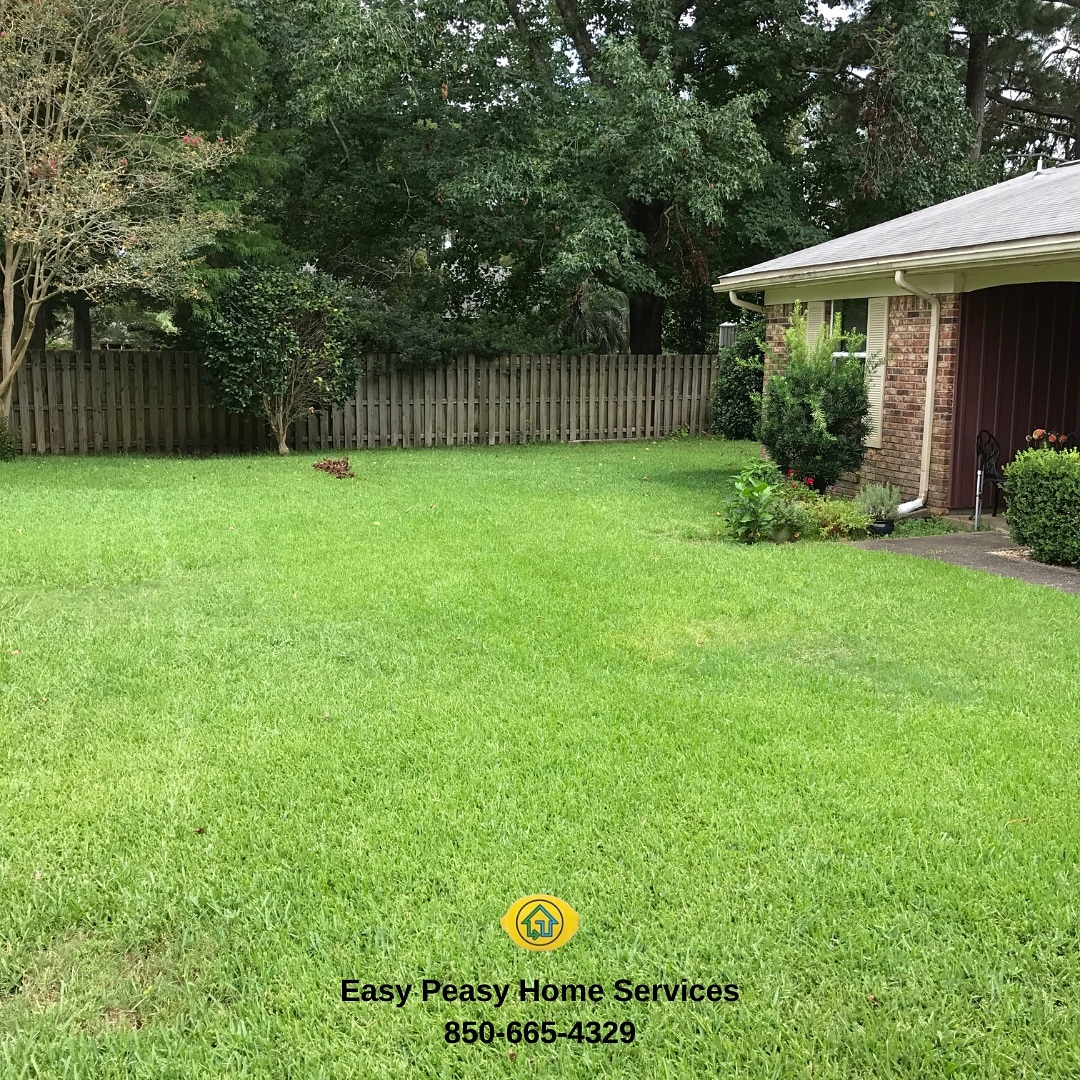 easypeasyhome's tweet photo. What's better on a warm sunny day than to sit back and admire your lush green, weed-free lawn? We would say nothing 😉 Give us a call for a FREE estimate 850-665-4329 
.
#greenlawn #lushgreenlawn #lawntreatments #easypeasyhomeservices #easypeasylemonsqueezy #weedcontrol https://t.co/4rLGrQE9Zw