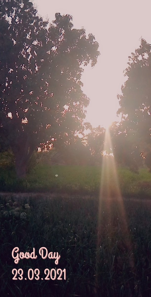 SaniaAzeem4's tweet photo. Every sunset is a opportunity to reset✨

#Sunset #apportunity #Todayvibes https://t.co/B9zhamfWAl