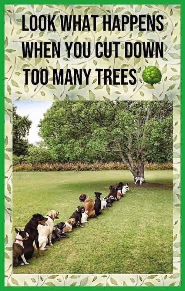 I’m fed up of the queues 😂