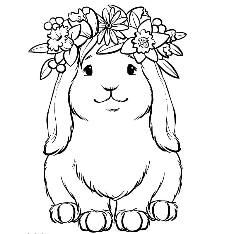 instagram.com/p/CMw1okmBzlC/…