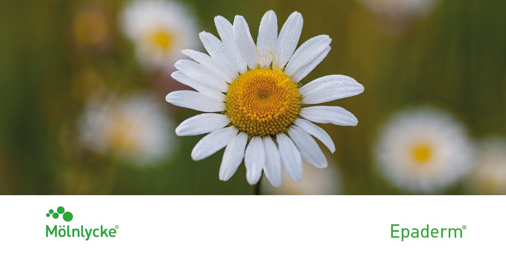 Epaderm's tweet image. It's officially #Spring! Learn how to protect your skin in changing weather conditions: epaderm.com/blog/our-thoug…