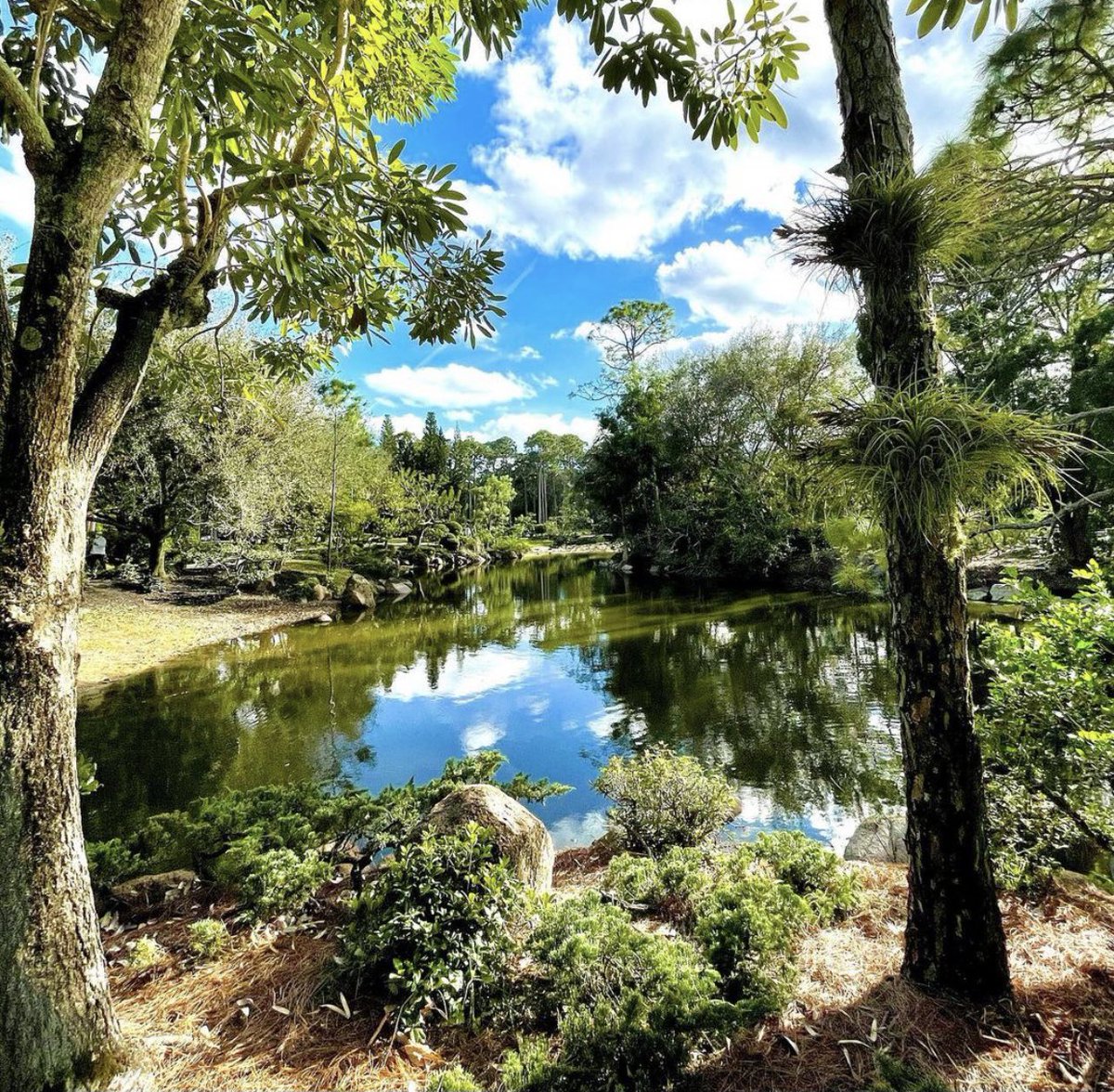 morikamimuseum's tweet photo. It’s #TravelTuesday. Get away from it all in our #gardens. ✨
📸: mikedeliso72/@instagram https://t.co/5D7aa2H6zD
