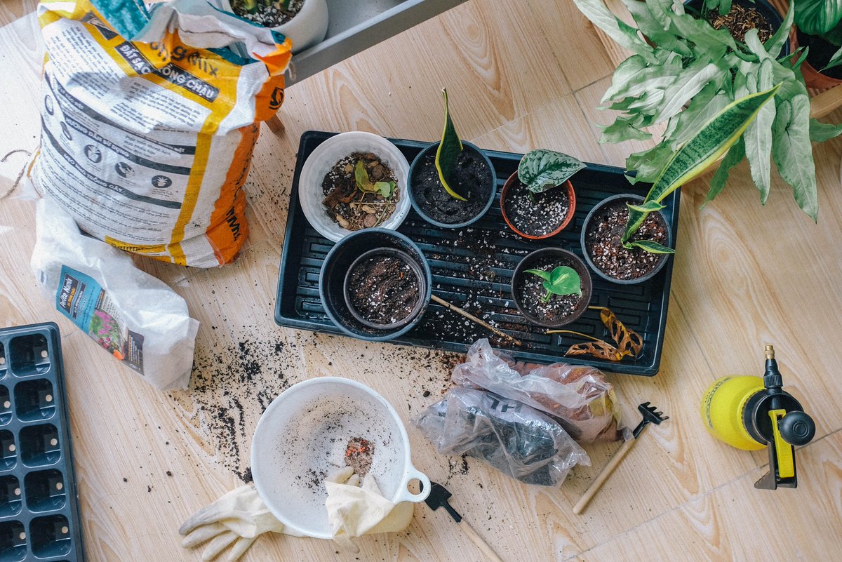 FIFTY_mag's tweet photo. Want to keep active but hate traditional exercising? In this article, we explored how planting and gardening can help you do so: https://t.co/VB4ppjOONH

#gardening #plants #planting #keepactive https://t.co/qFovPmENkt