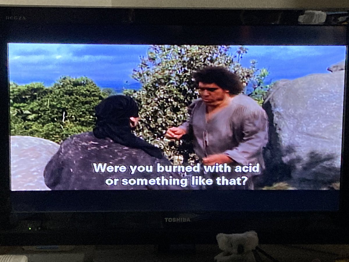 KiddYoshiwatari's tweet photo. I am sure someone has already posted this, but...
The Princess Bride was a very prescient movie.
#FunWithMasks https://t.co/zbWFQnPcb8