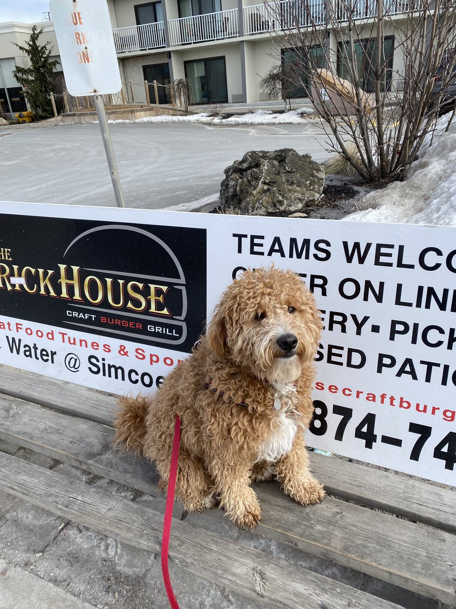 mackrobinson_'s tweet photo. National Puppy Day!!♥️ @1005FreshRadio https://t.co/cVH4Km8SGJ