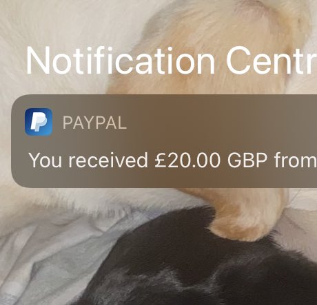 darkminddom's tweet photo. They all come crawling back. Isn’t that right @despof4g  know your place and kiss my feet as you open your wallet #cashpiggy #underwearforsale #paypig #payfags #humiliatedfag #cashmaster https://t.co/OrHZReUTZS