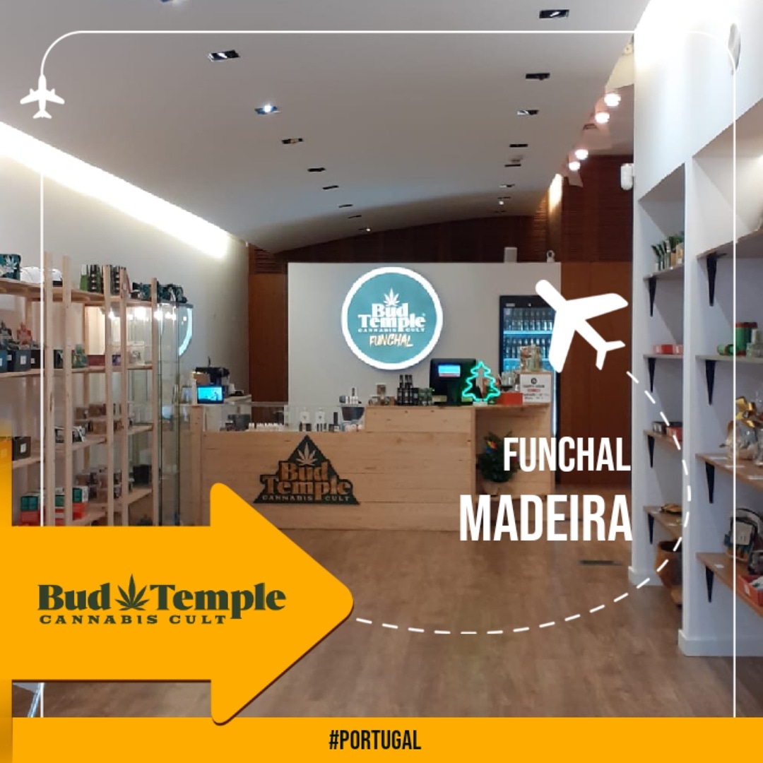 temple_bud's tweet photo. ✈Must Visit in Funchal, Madeira😎
#budtemple #cbdstore #cbd #cbdoil #hemp #hempstore #cannabis #canna #weed #weedpics #weedculture #420daily #420photography #photooftheday #travelphotography #travel #traveltheworld #viagens #viagem #funchal #madeira #madeiraisland #portugal https://t.co/QOyypnejQK