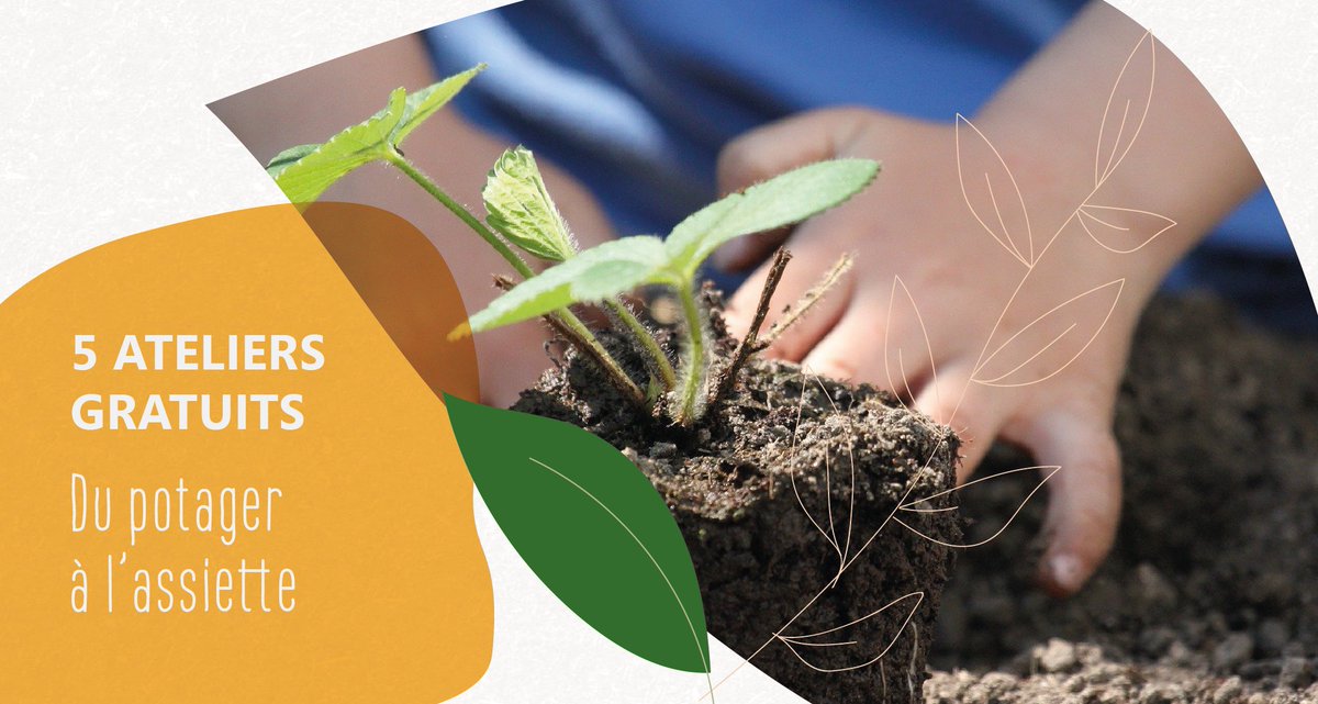 DU POTAGER À L'ASSIETTE 😋🥕 #ARCHEAgglo propose des #ateliers gratuits sur le #jardinage #ecologique !
Produire au potager sans #pesticide, #cuisiner, déguster et conserver les légumes de son potager...
→ Sur inscription archeagglo.fr/ateliers-potag…