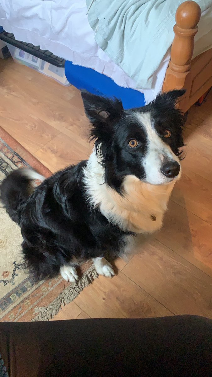 Ellie Champion tweet media