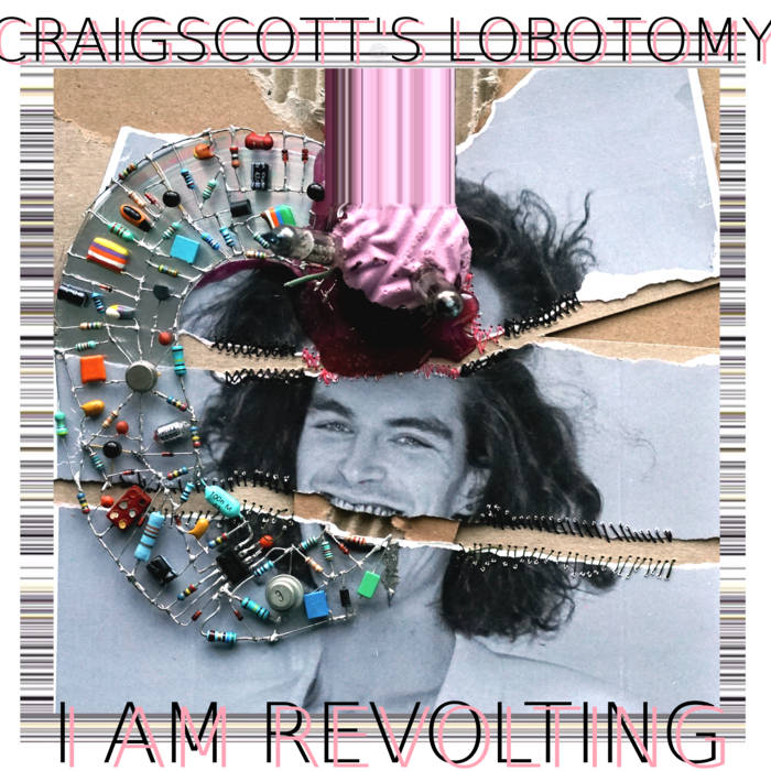 theneonhospice's tweet image. Good evening. And tonight&apos;s broadcasting starts right now with @CSLobotomy talking to myself about his mind-blowing new album I Am Revolting
theneonhsopice.com