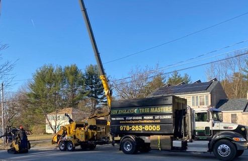 KarenHerther's tweet image. Awesome👏tree service by the team at New England Tree Masters @NETreeMasters! Thank you Viviane, Carlos, CJ &amp;amp; crew (Garrett in safety🦺gear). Professional &amp;amp; efficient tree work--the BEST + important to support local, independent Acton Boxborough businesses! #ActonMA #Actonlocal