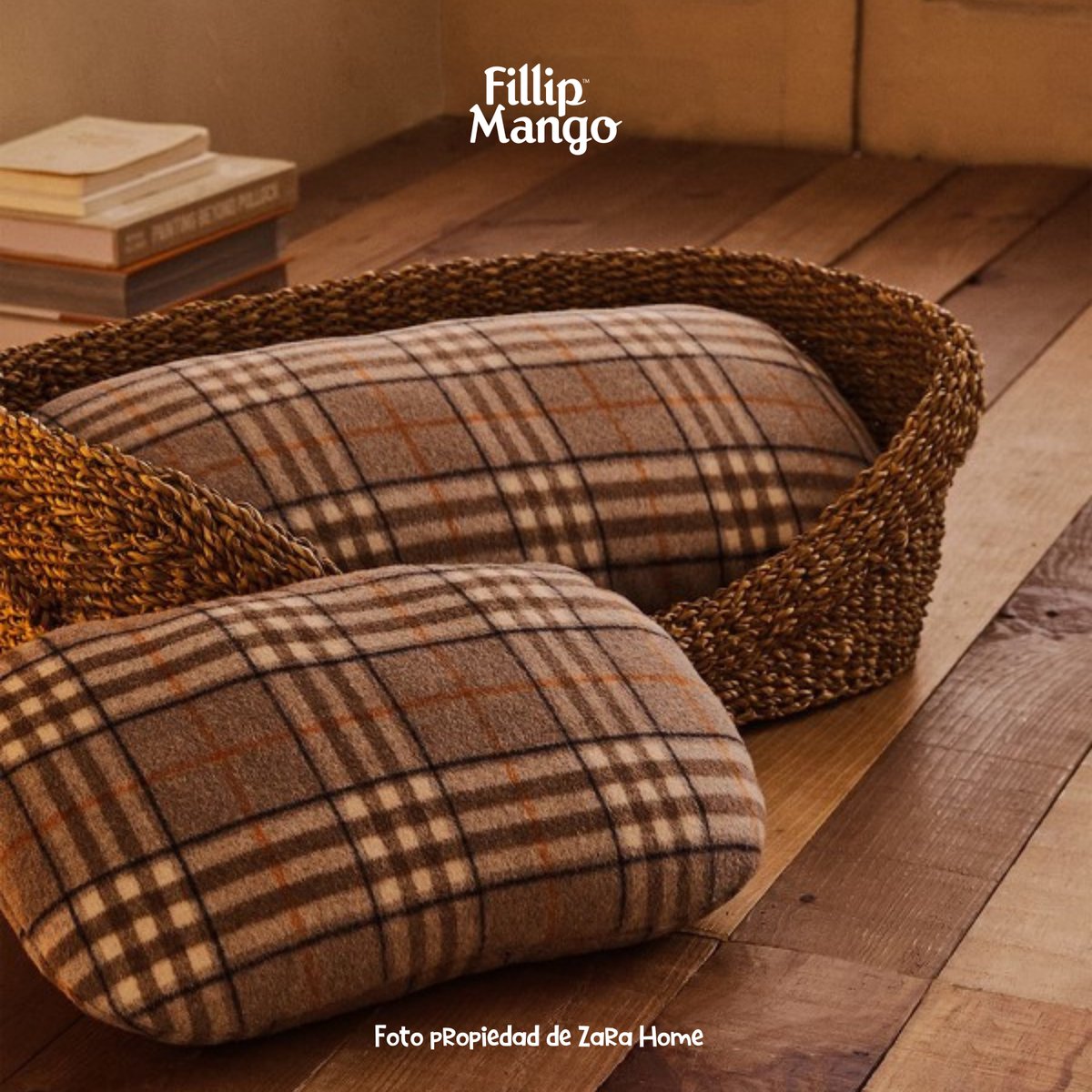 petsandbrands's tweet photo. El mejor sorteo que verás hoy está en el perfil de #Instagram de @FillipMango: nuestra marca de pienso natural para tu 🐶🌿

▶️ ¡Participa aquí y ahora! https://t.co/4VL6kHZM0D https://t.co/AczS6dwfKU