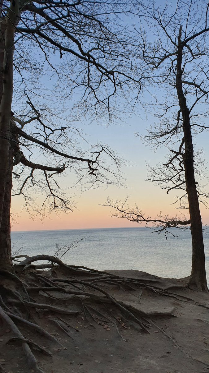 leniwytrener's tweet photo. Dzisiaj karmiłem klify #gdynia #orlowo https://t.co/os0NH8Bwn6