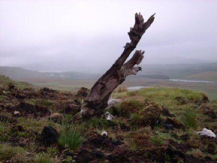 'If there is fog on the top of Errisbeg hill there is rain coming! Weather Signs from #Connemara in <a href="/duchas_ie/">dúchas.ie</a> duchas.ie/en/cbes/460267… what weather signs do you look out for or do you tune into <a href="/AimsirTG4/">Aimsir TG4 💚</a> #WorldMeteorologicalDay