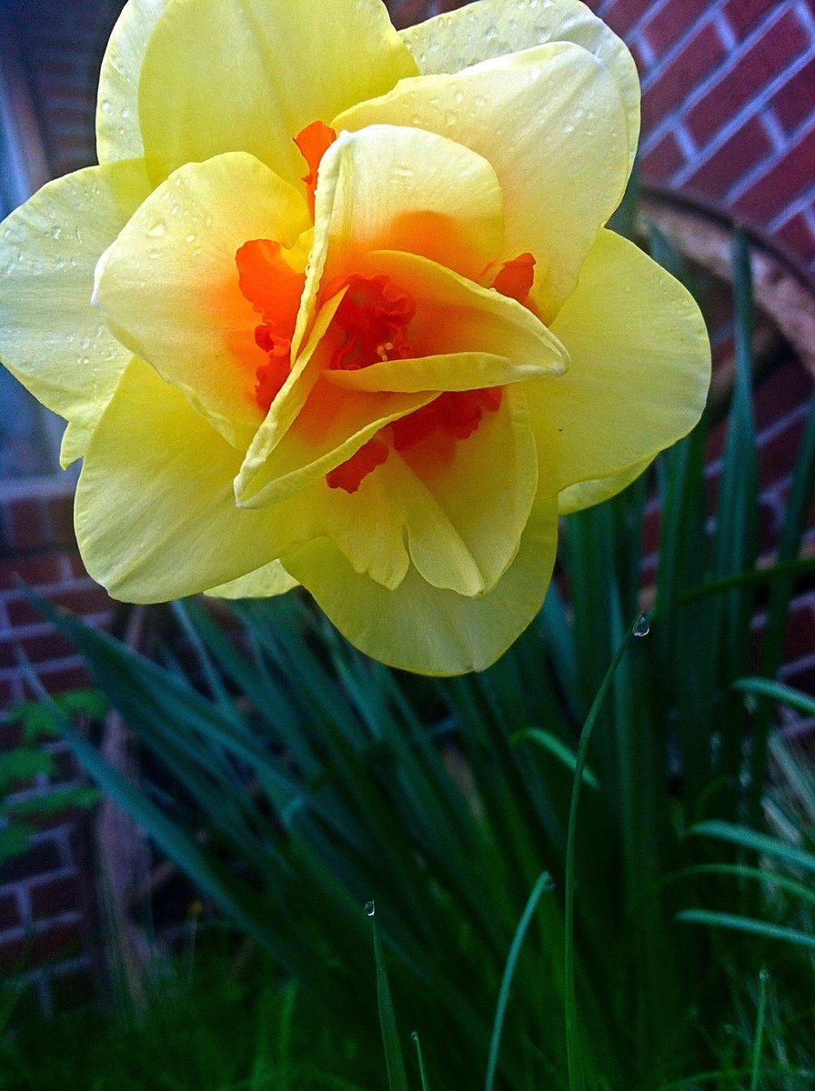 crowadinfinitum's tweet photo. @Jn_7L Beautiful photos of sweet Janna!!๐๐ผโ๏ธ
Wishing you a happy and blessed season of Spring!โ๏ธ๐ผ๐๐Warm hugs, Tinaโ๏ธ๐๐ผโ๏ธ๐ค๐xo
#HappySpring2021 ๐ผโ๏ธ #MyPhoto ๐ผโ๏ธ https://t.co/kbBfseFHaq