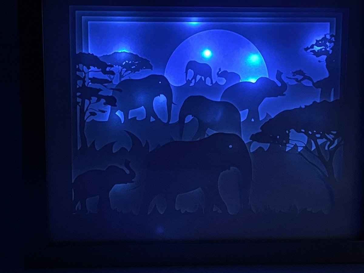 EndlessJens's tweet photo. Excited to share this item from my #etsy shop: Elephants Shadow Box #gold #elephants #bluelights #nightlight #shadowbox #handmade #custommade #supportlocal #smallbusiness https://t.co/D5l1eTGQ3l
#jensendlessoccasions #etsyhandmade #etsygifts #etsyfinds #etsyshopowner #etsysocial https://t.co/agYPkewx5O