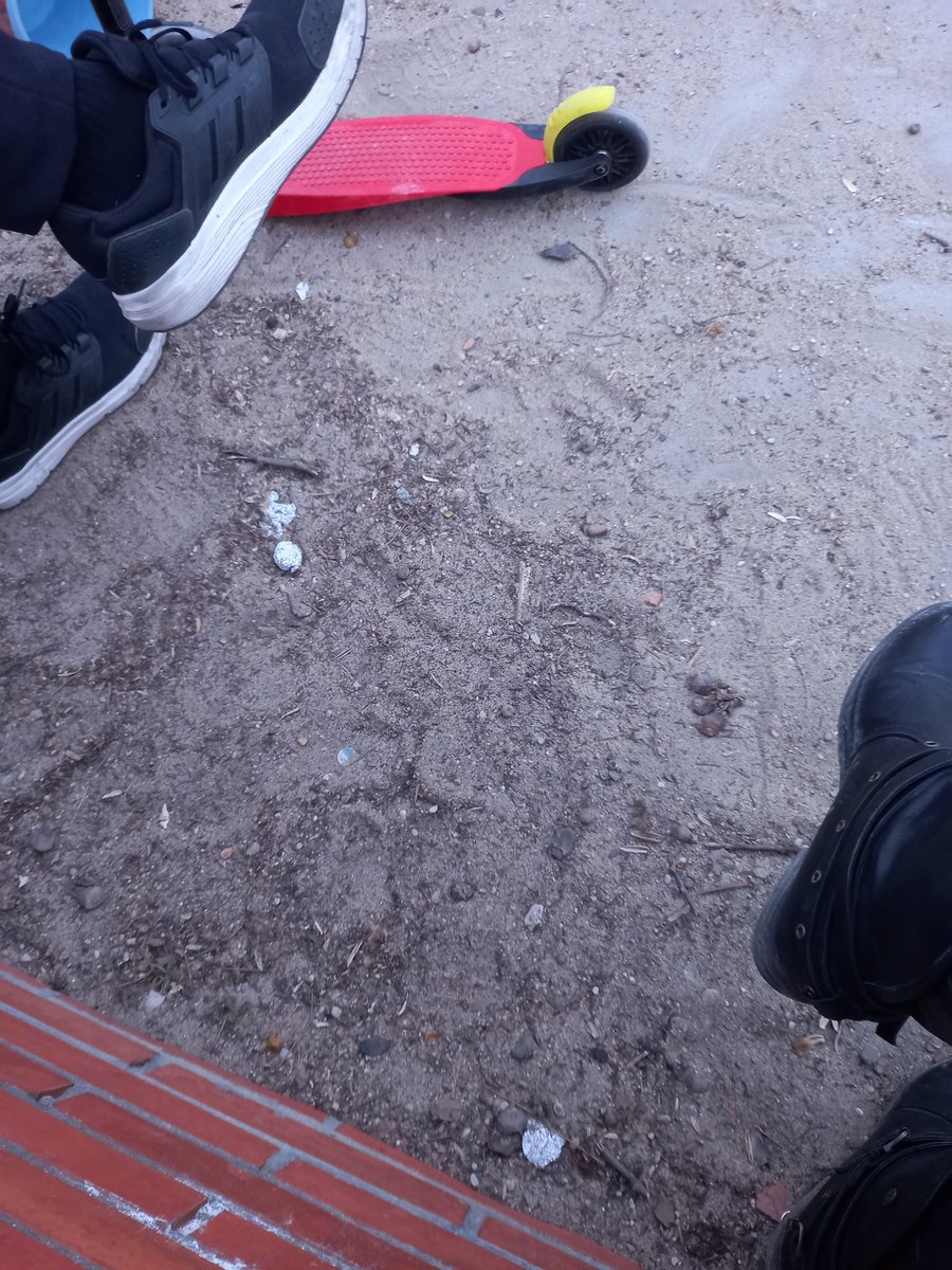 nesimoya's tweet photo. Señores del @AyuntamientoVLL .
¿Cuantas veces deben caerse nuestros niños antes de que limpien las instalaciones de Cogolla con Monasterio del Henar en Villa del Prado? https://t.co/Ma9wulvKXn