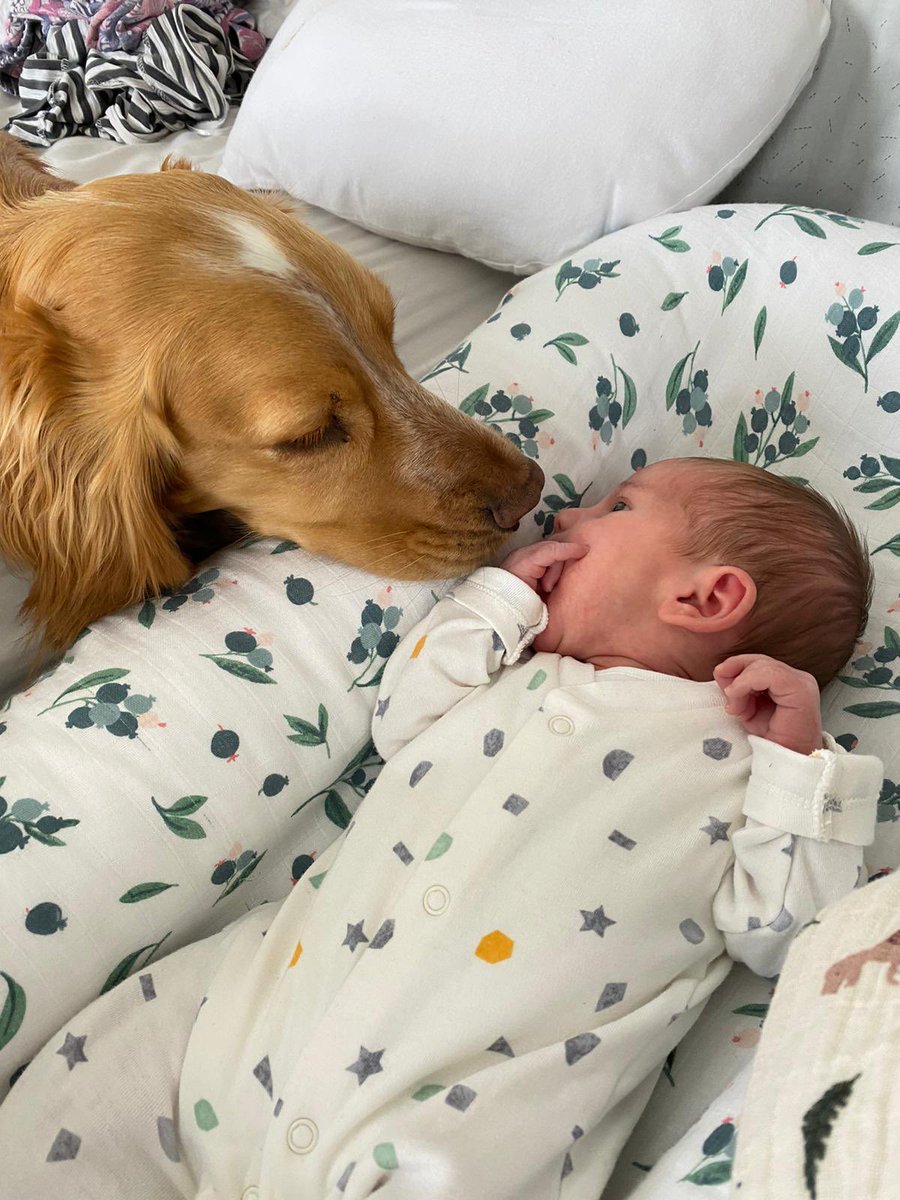 Osian James tweet media