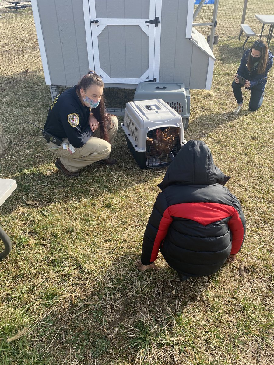 Watershed PCS tweet media