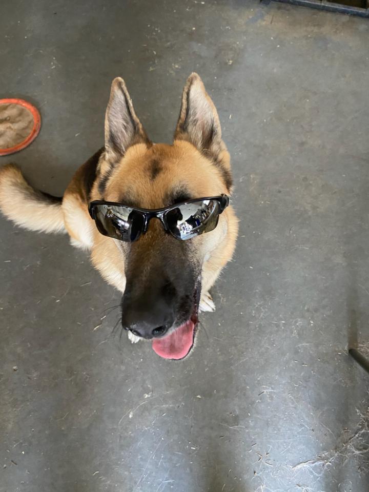 @pattypeech tweet media