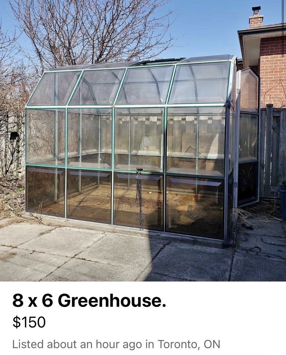 If I only had a backyard