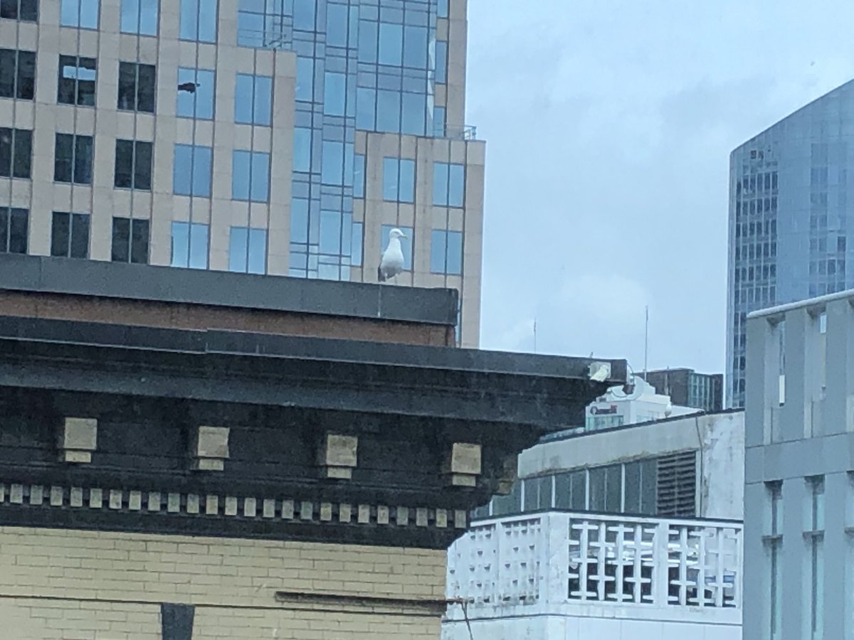 VanArts Radio tweet media