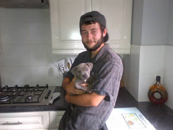 Jaspergratt's tweet photo. It’s national puppy day today so I thought I’d treat you all to some even cuter pics of me as a puppy #NationalPuppyDay #staffordshirebullterrierpuppy #cutepuppy #PuppyDay https://t.co/aVixHcc7zY