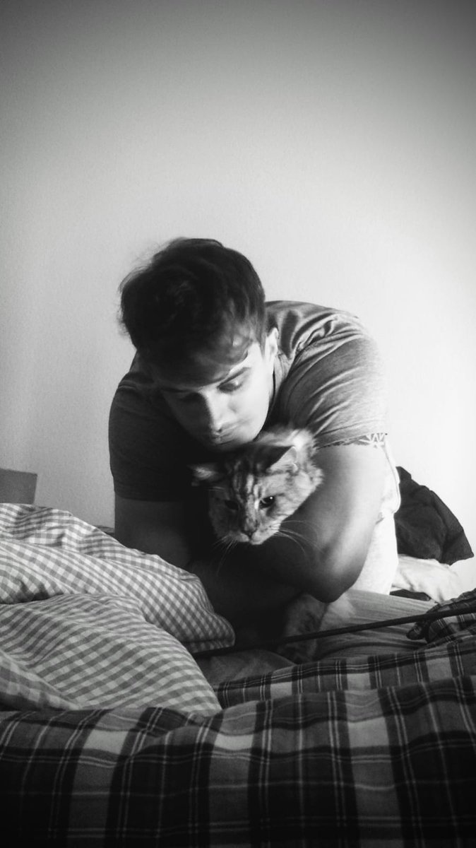 skipjackOW's tweet photo. Elvis, the cutest cat one could hope for, passed away in his sleep. You have always been there for me and I will miss you so very much! Rest in peace my friend🕯️ https://t.co/0ZUxFFBLzS