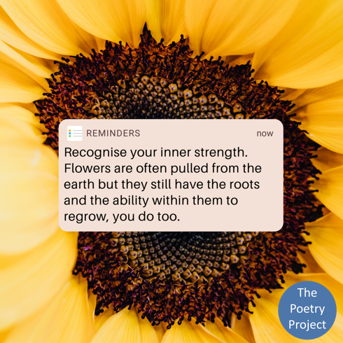 #NationalDayofReflection💛
We're reflecting and remembering today, one year on from the first National Lockdown!
We look forward to seeing you all again soon🤗