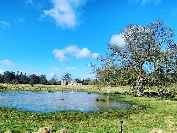 BlathnaidRua's tweet image. After the news at 7pm @RTENationwide we visit Dunsany Nature Reserve and @RandalPlunkett in Co. Meath #rtenationwide #rteone #nature