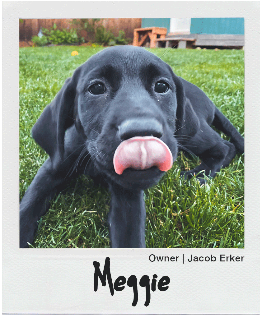 Human Powered Health Cycling tweet media