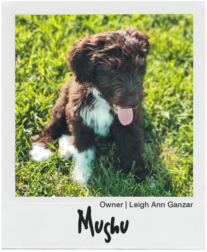 Human Powered Health Cycling tweet media